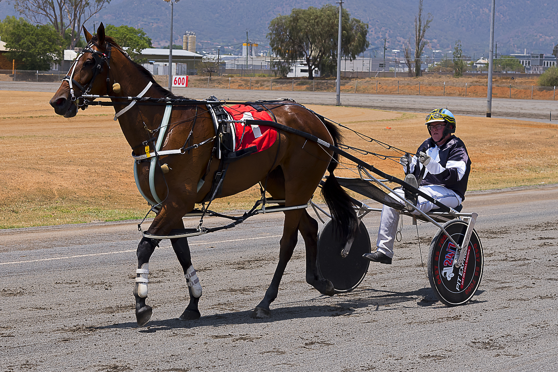 Mitch has this 'Chappy' on the right track