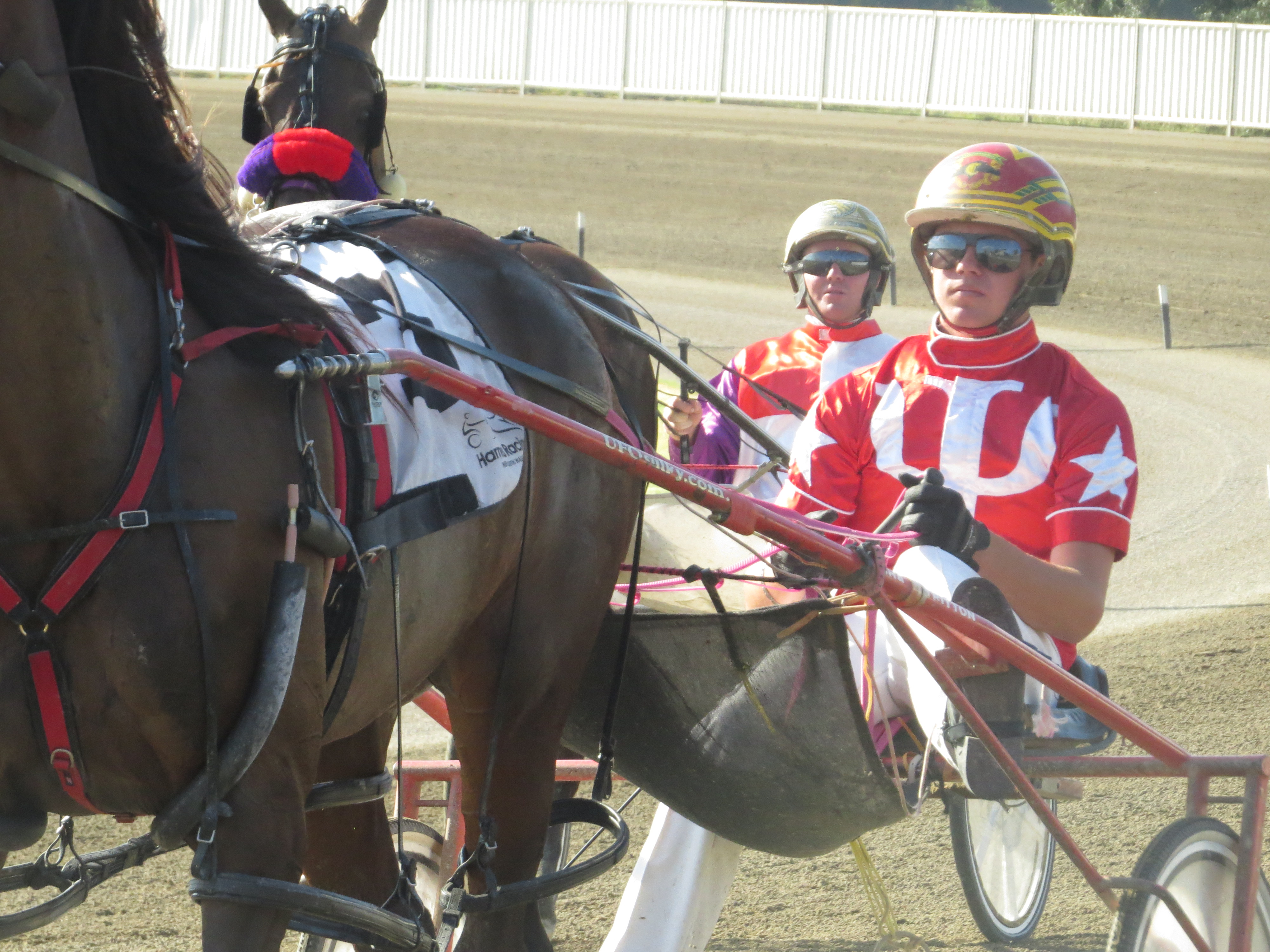 Chris happy to step into the 'hotseat' while stars are away