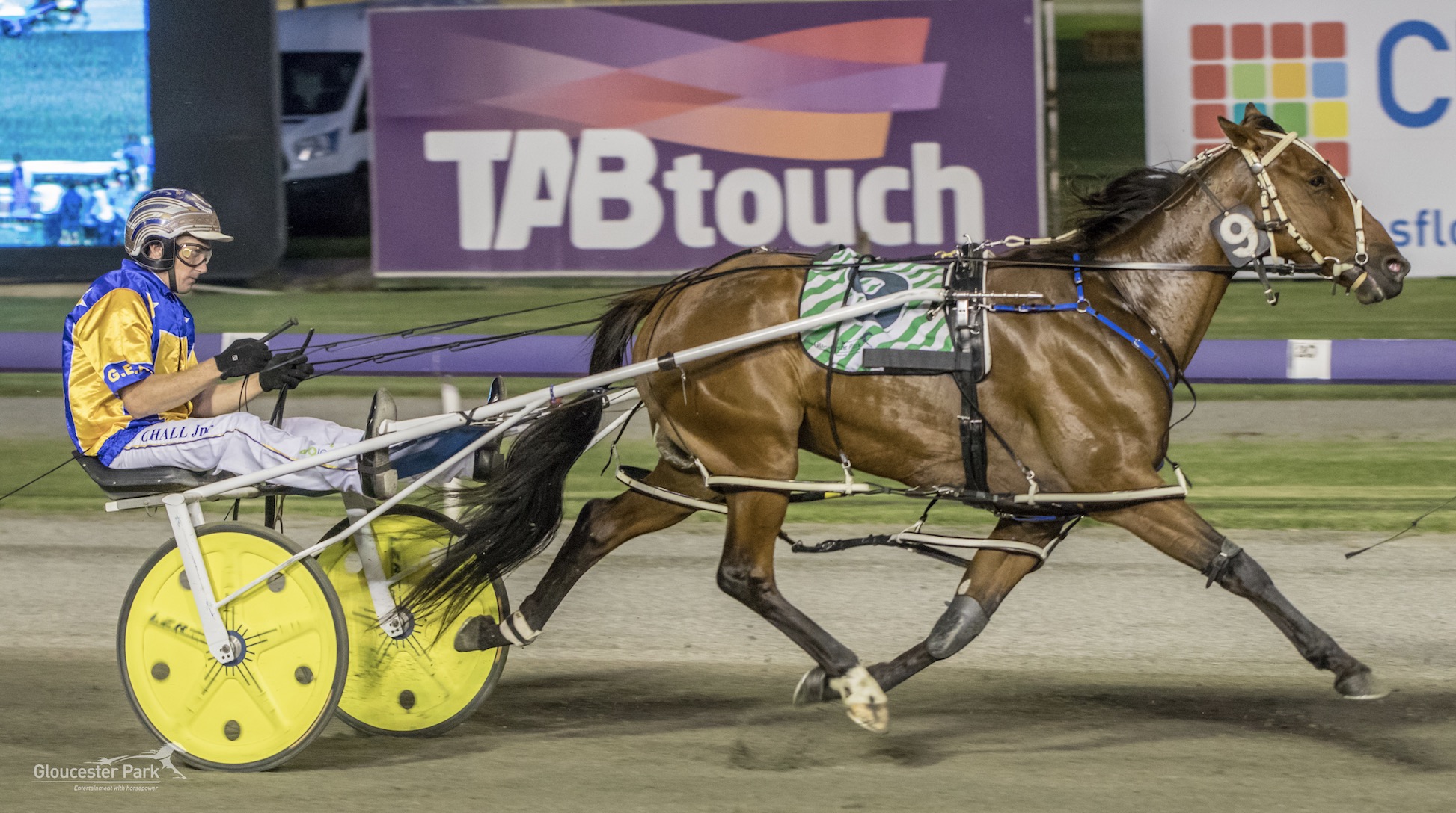 SKY's Adam Hamilton joins the team at National Trotguide