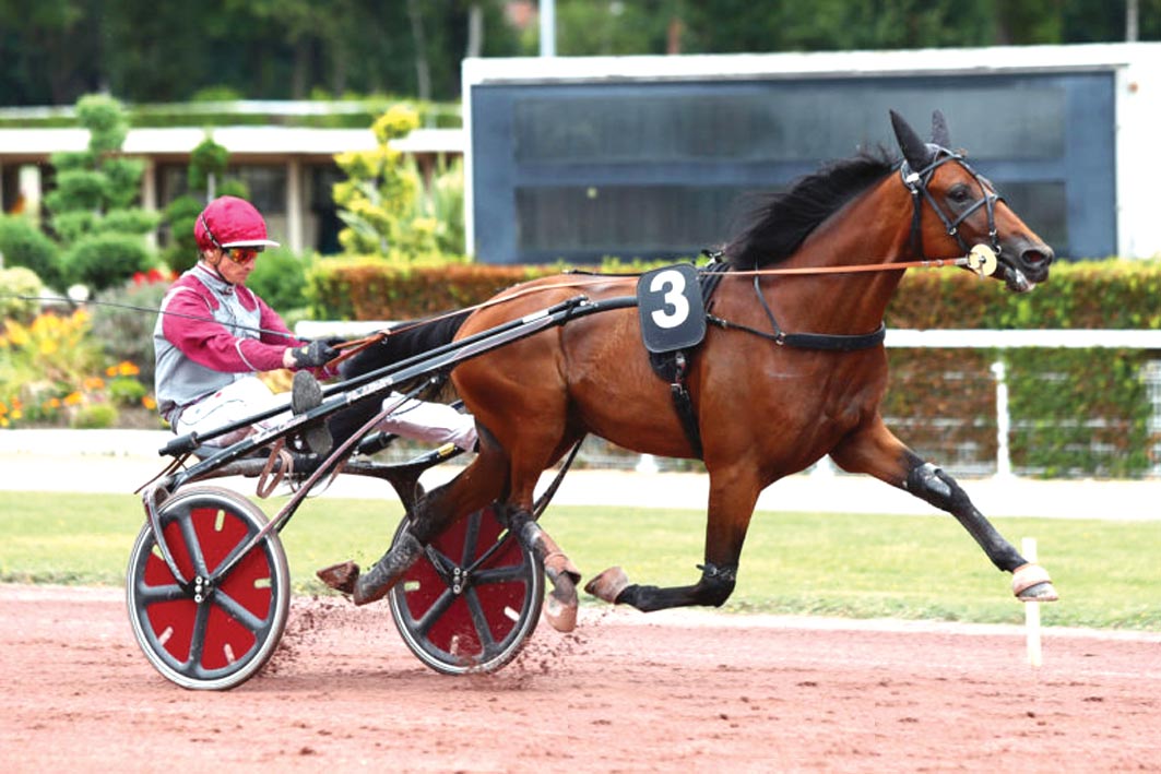 French import to make Aussie debut in Derby heats