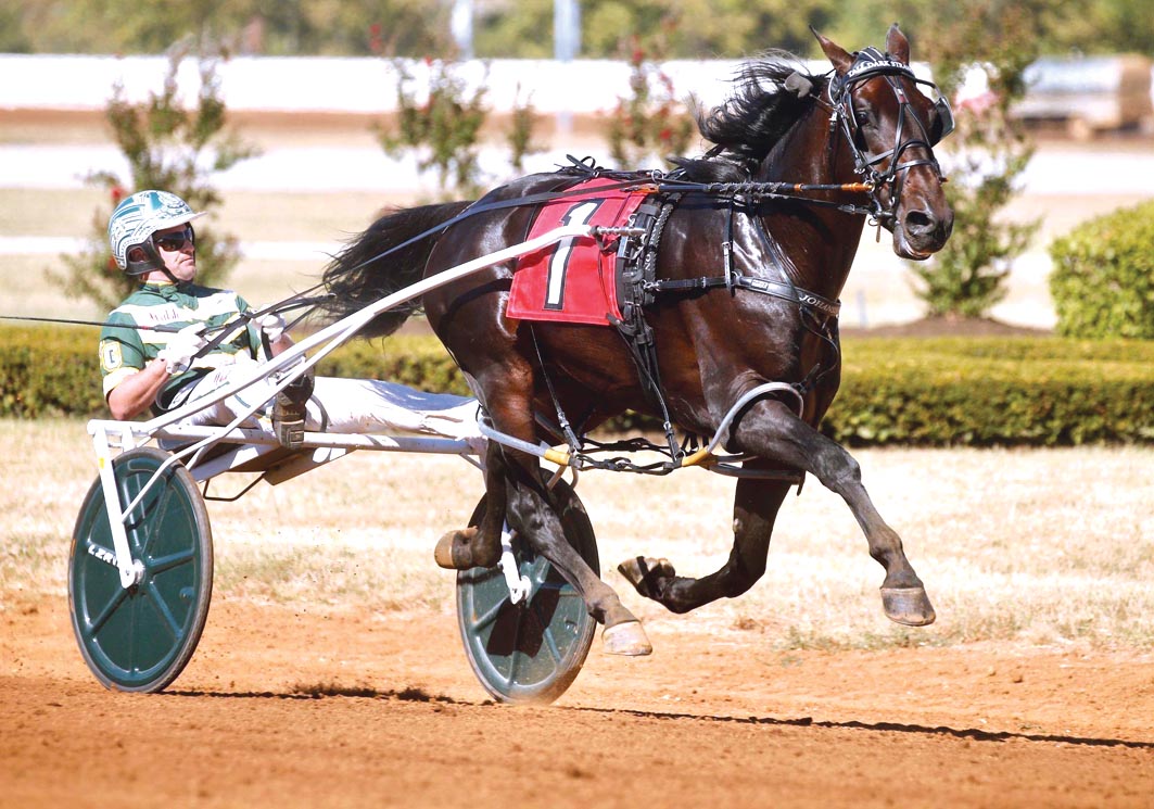 Superstar retired to stud