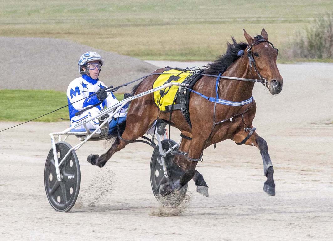 Champion mare does it again