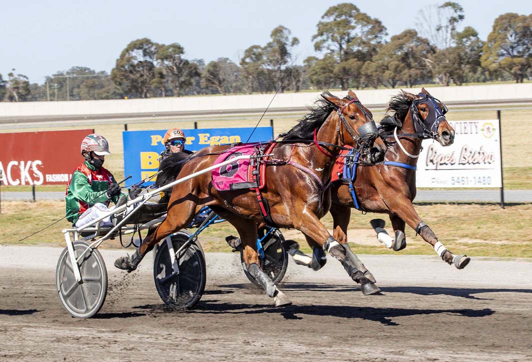 Kiwi in search of more Aussie majors