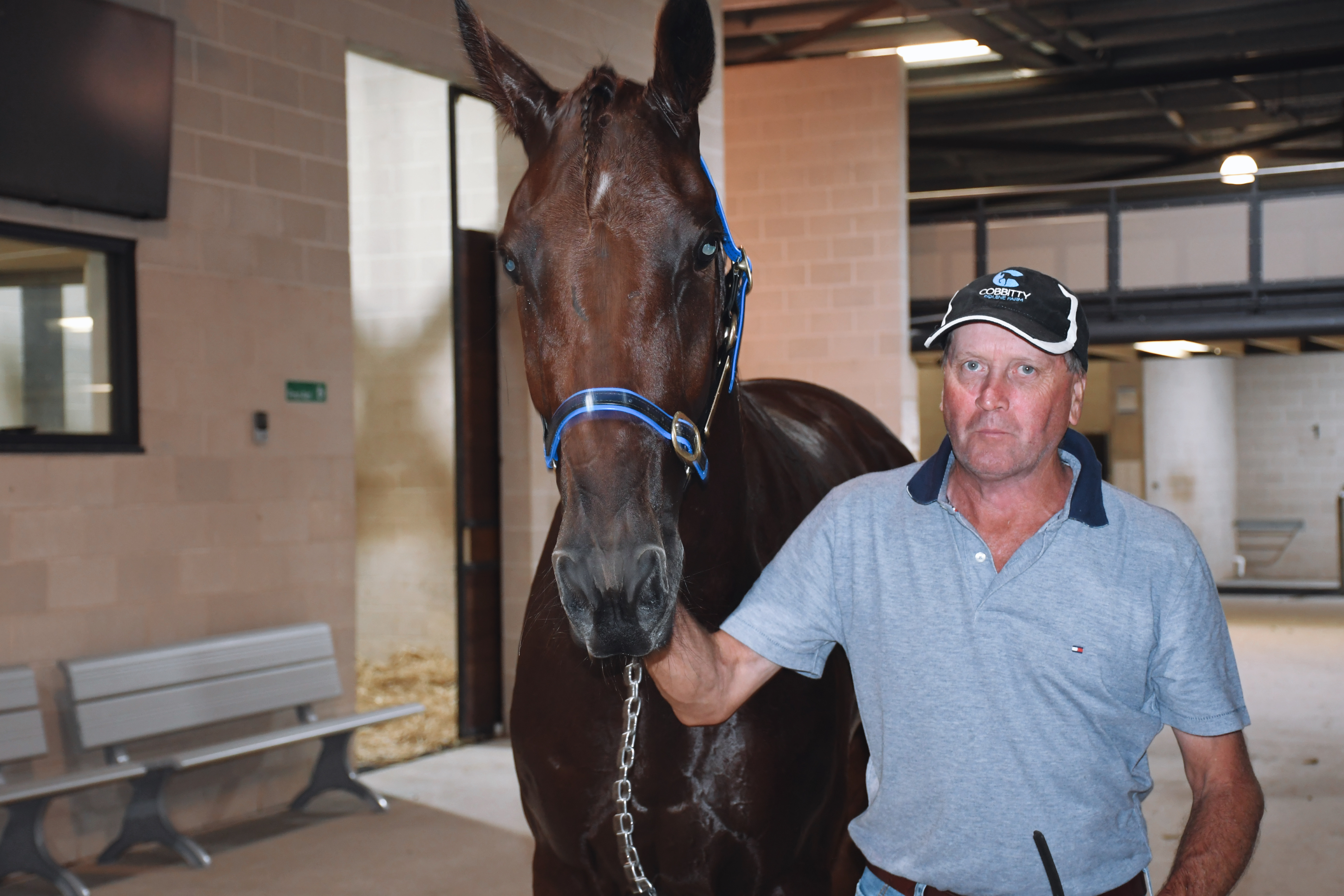 Secrets of a champion horseman