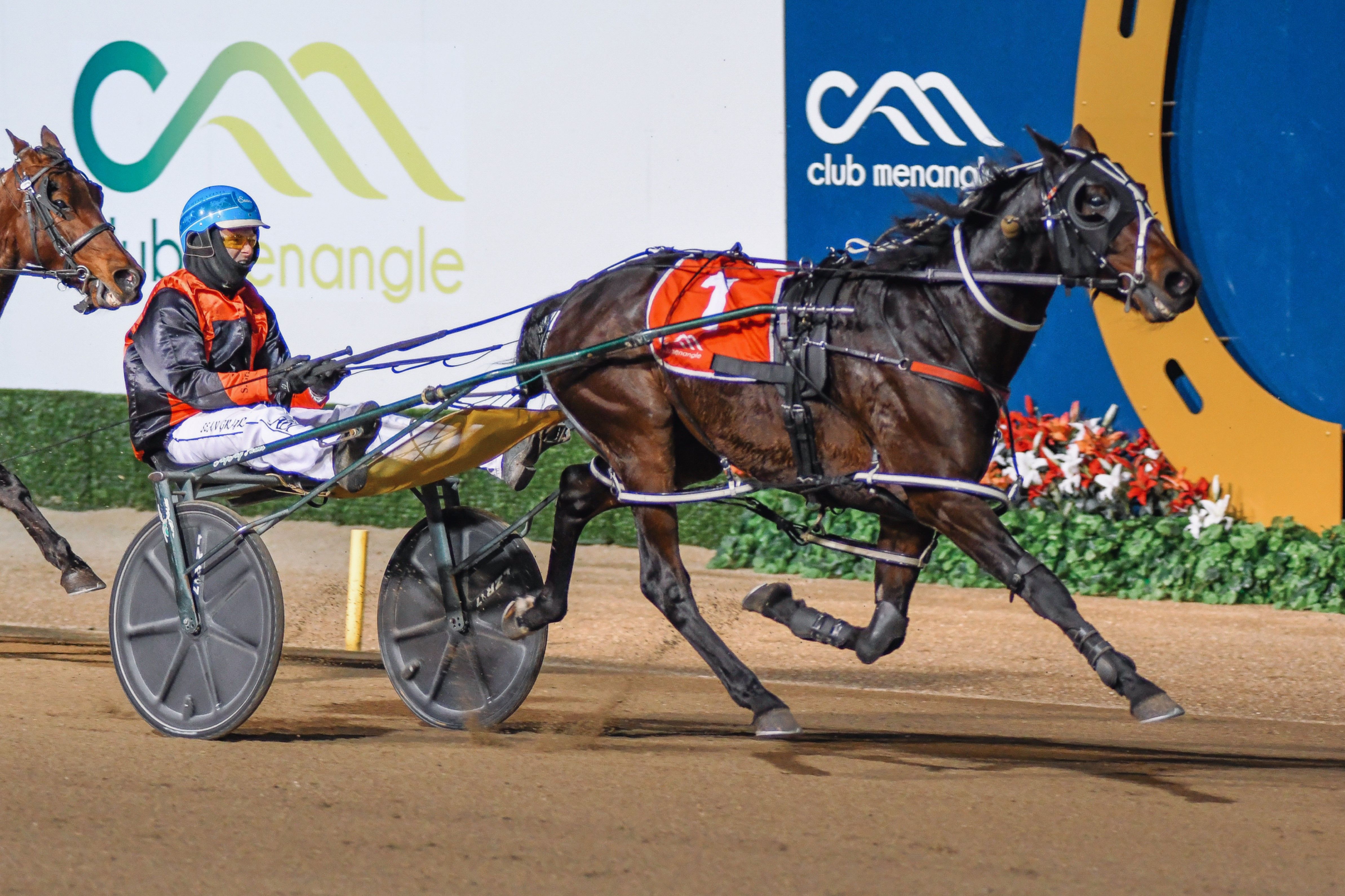 Let's 'Pump The Brakes' and find some Menangle winners