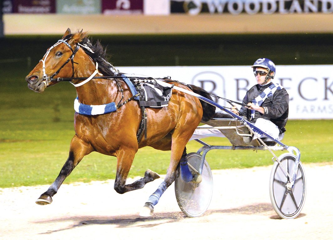 Kiwi to end Aussie tour on a high