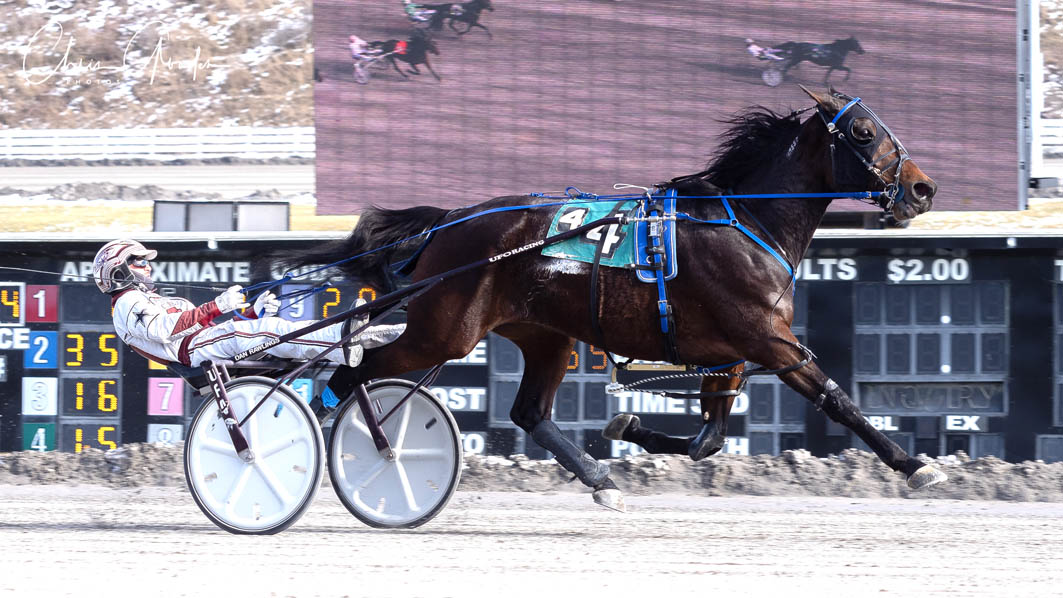 Mare too slick for the 'boys'