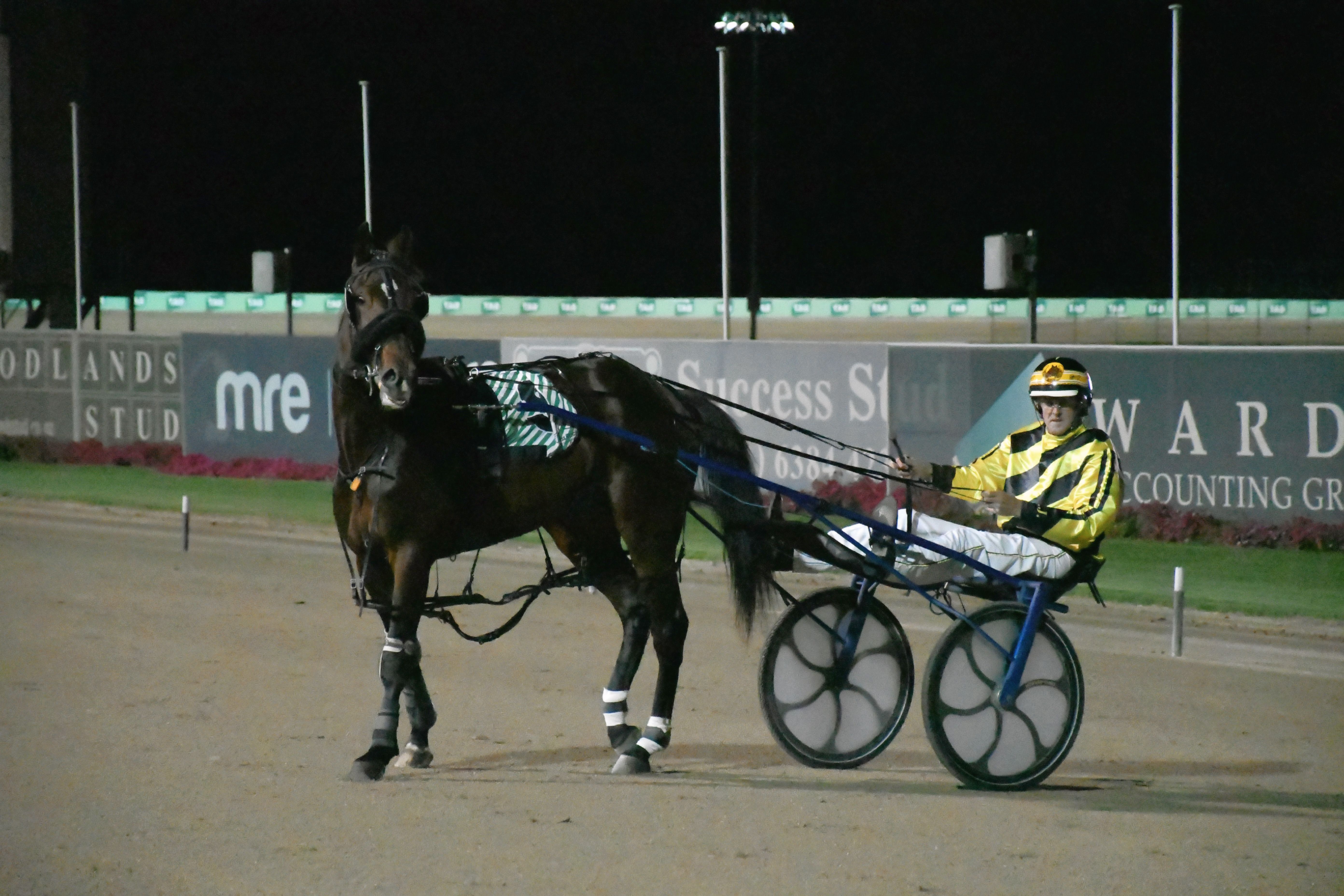 Inter Dominion win still fresh in Howard's mind
