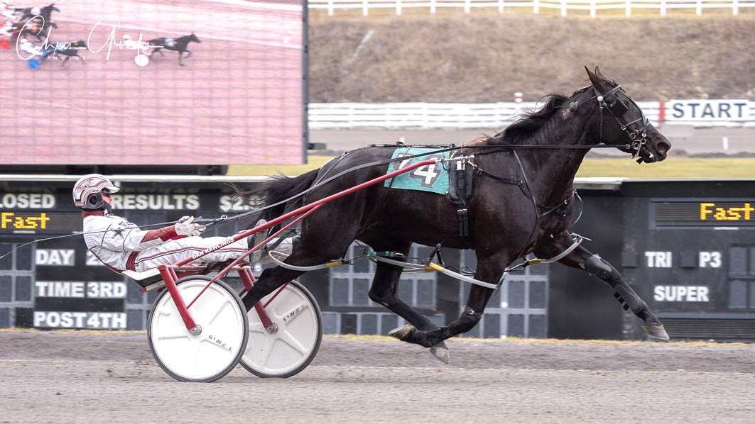 Sun shines in Meadows feature