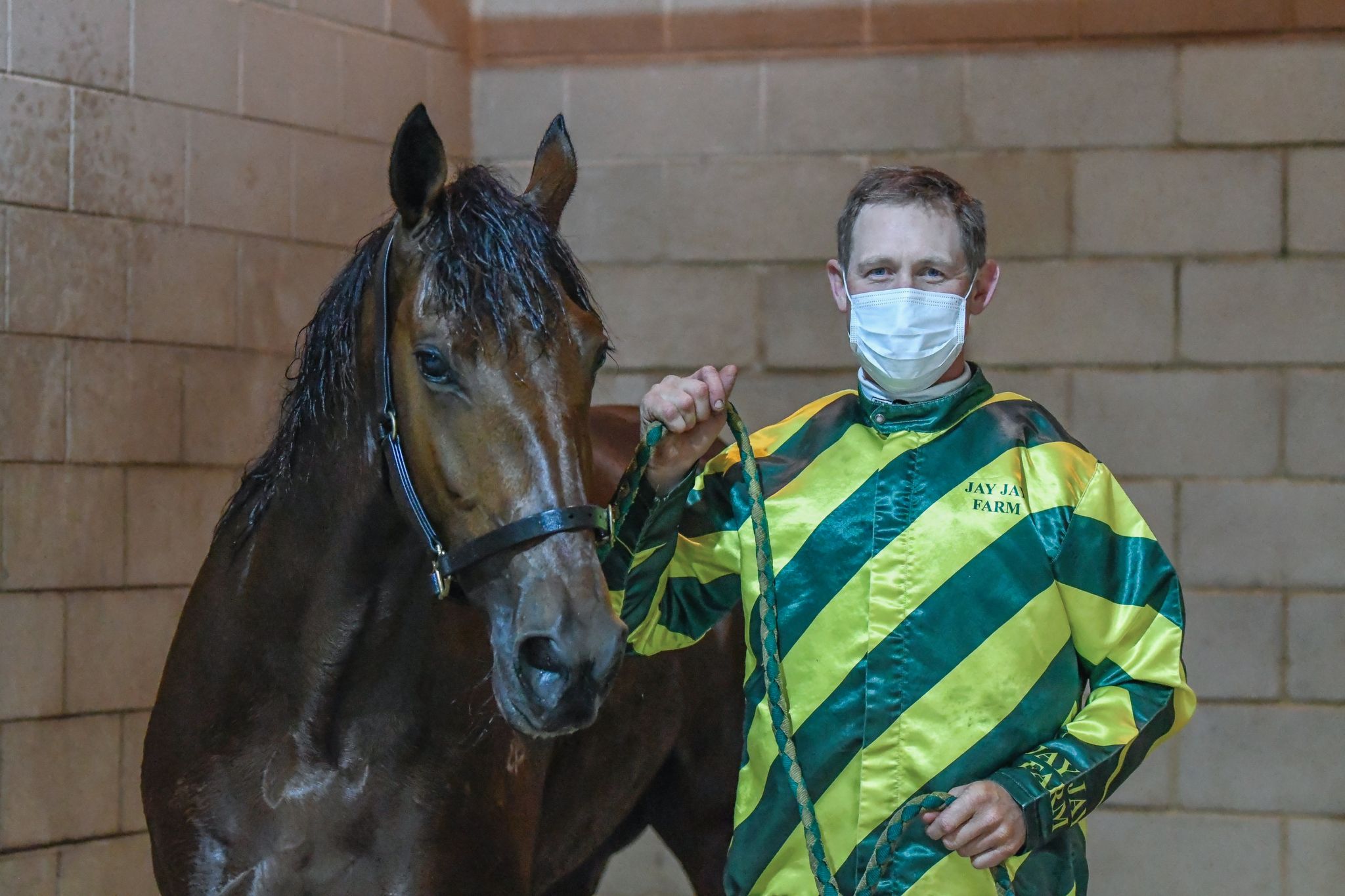 Just who is The Wild One in this stable?