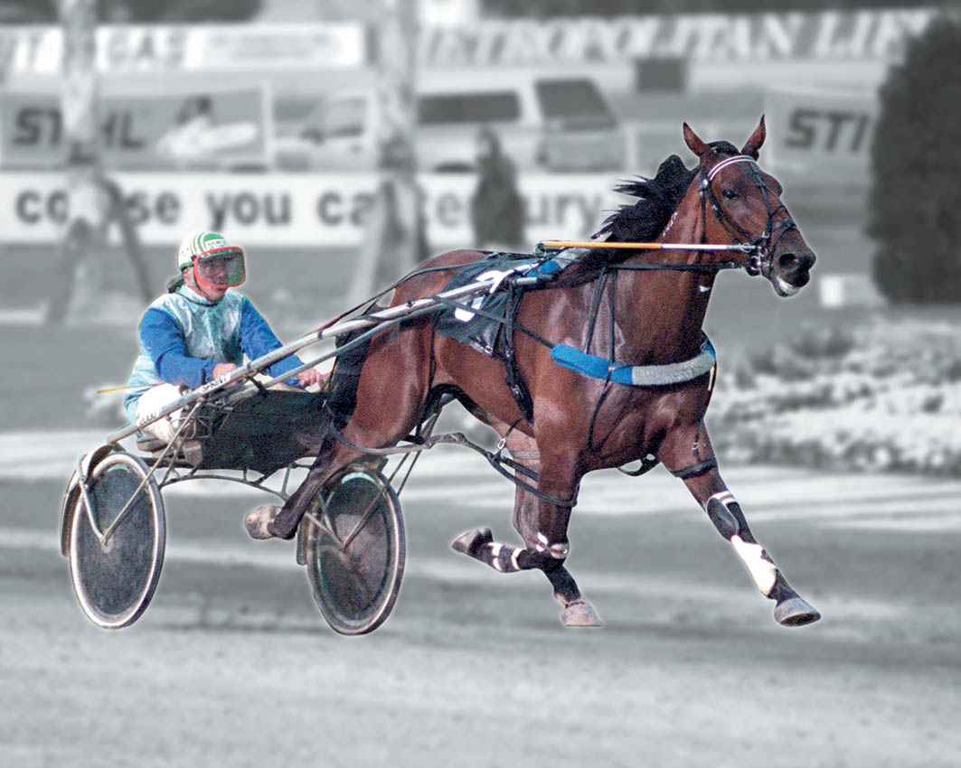 Memory of another unique track work bid for Miracle Mile selection