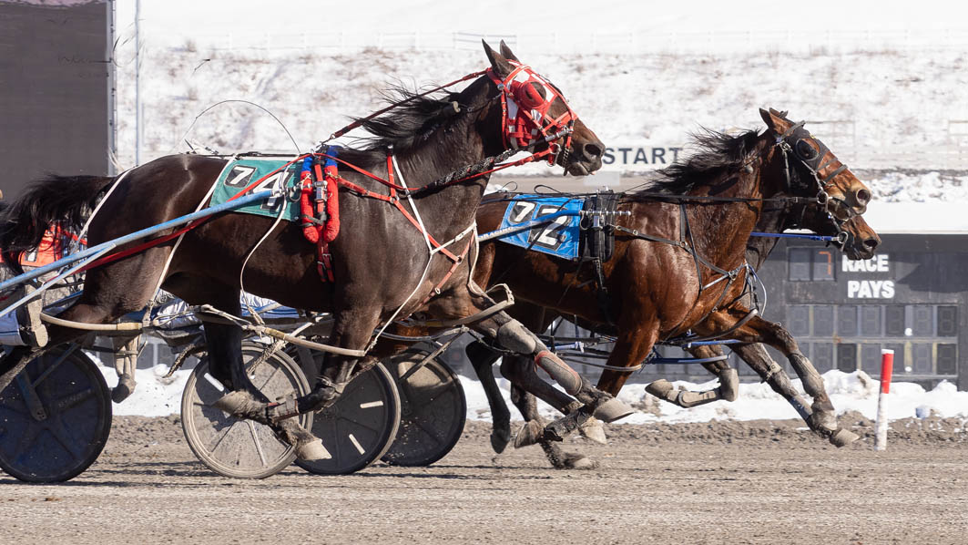 Kiwi-Aussie quinella in Meadows feature