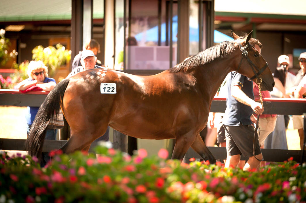 Overwhelming support after sale postponed