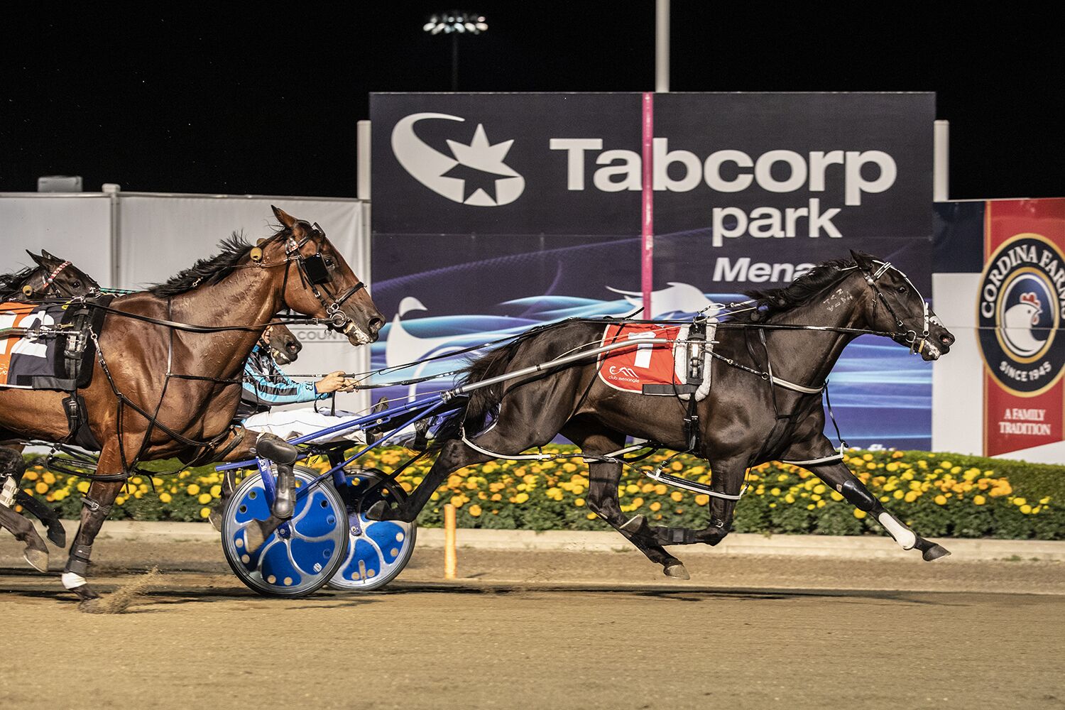 Trainor excited about his double shot at glory