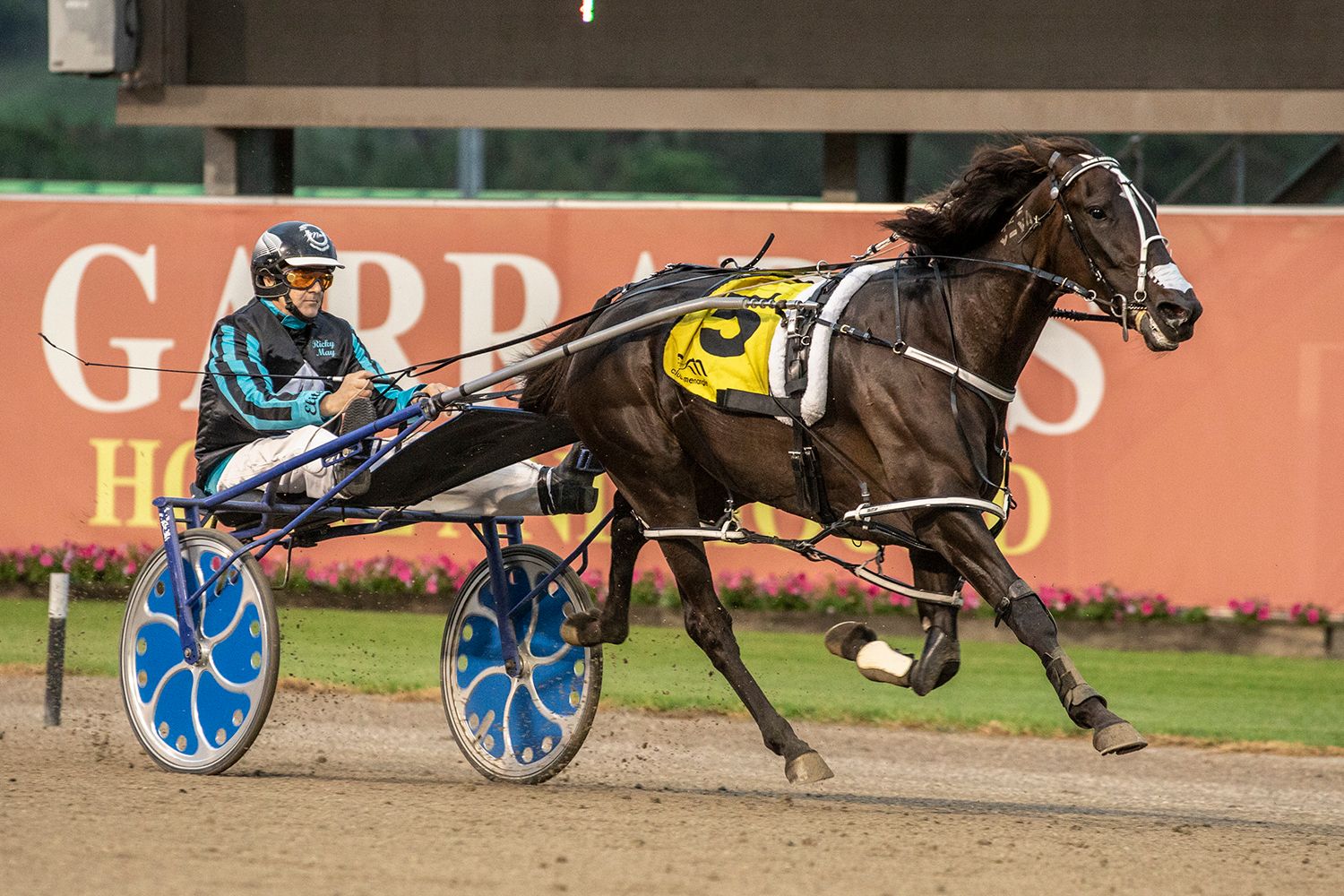 Trainor thrilled with latest acquisition