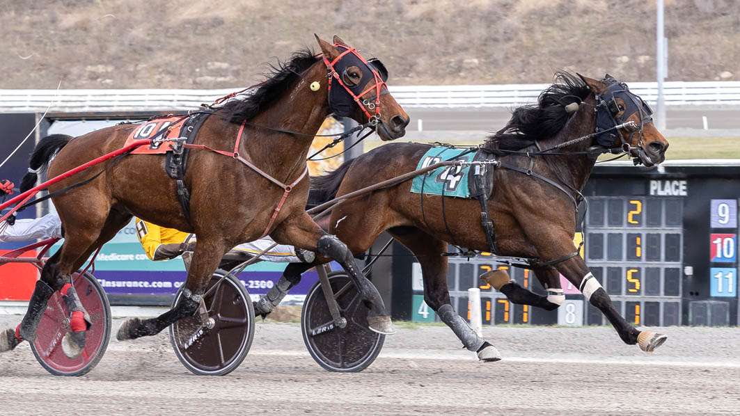 That was grouse Mouse!