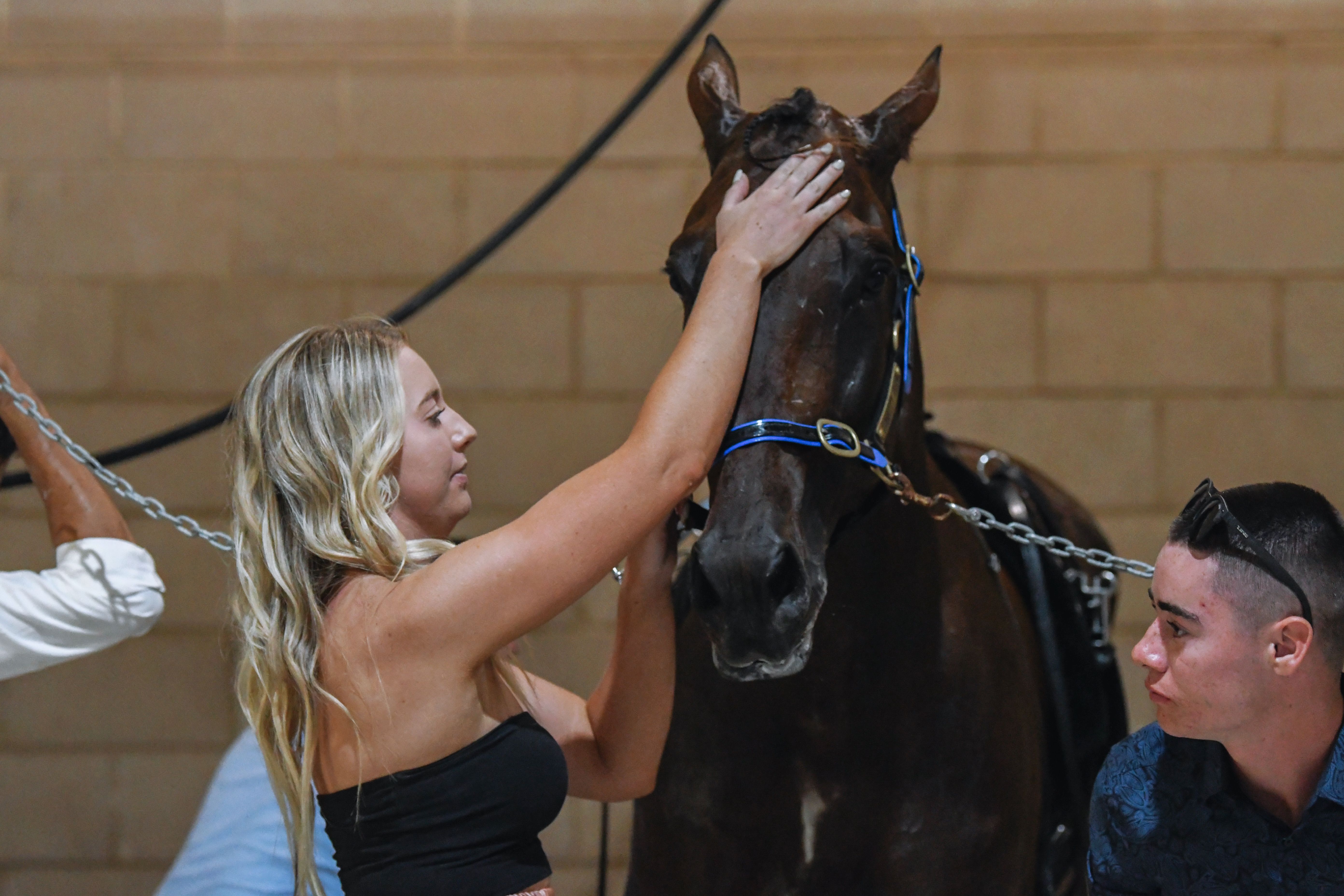 A Carnival to remember says the man on the mike