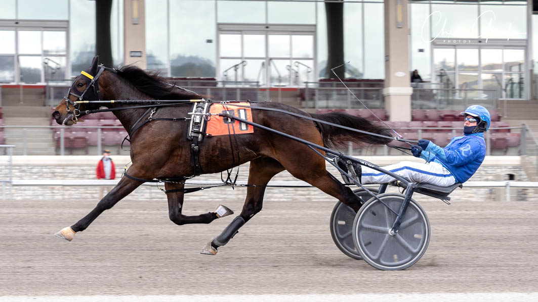 Quality trotters shine in Super Bowl division