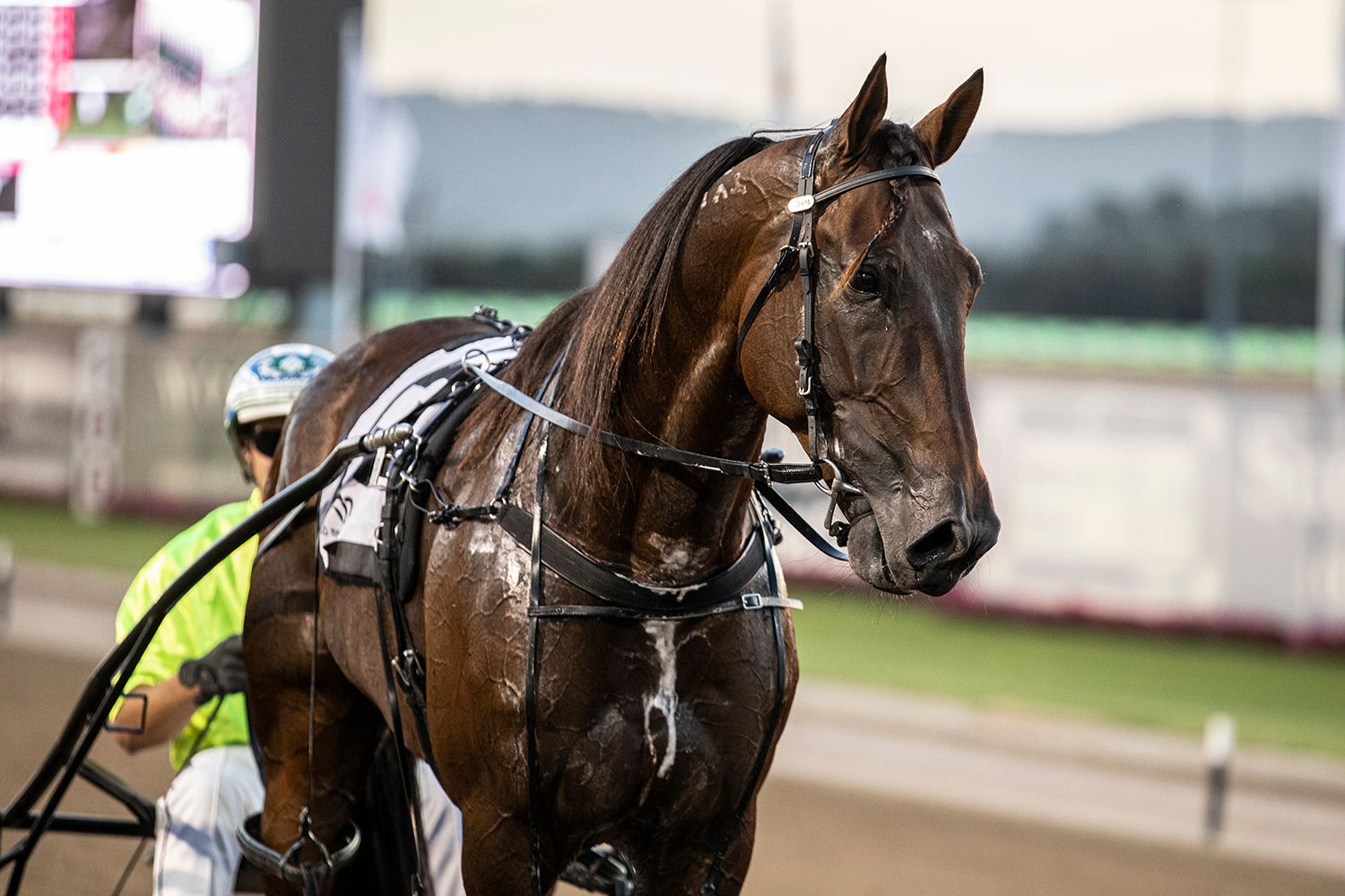 Still enjoying the thrill