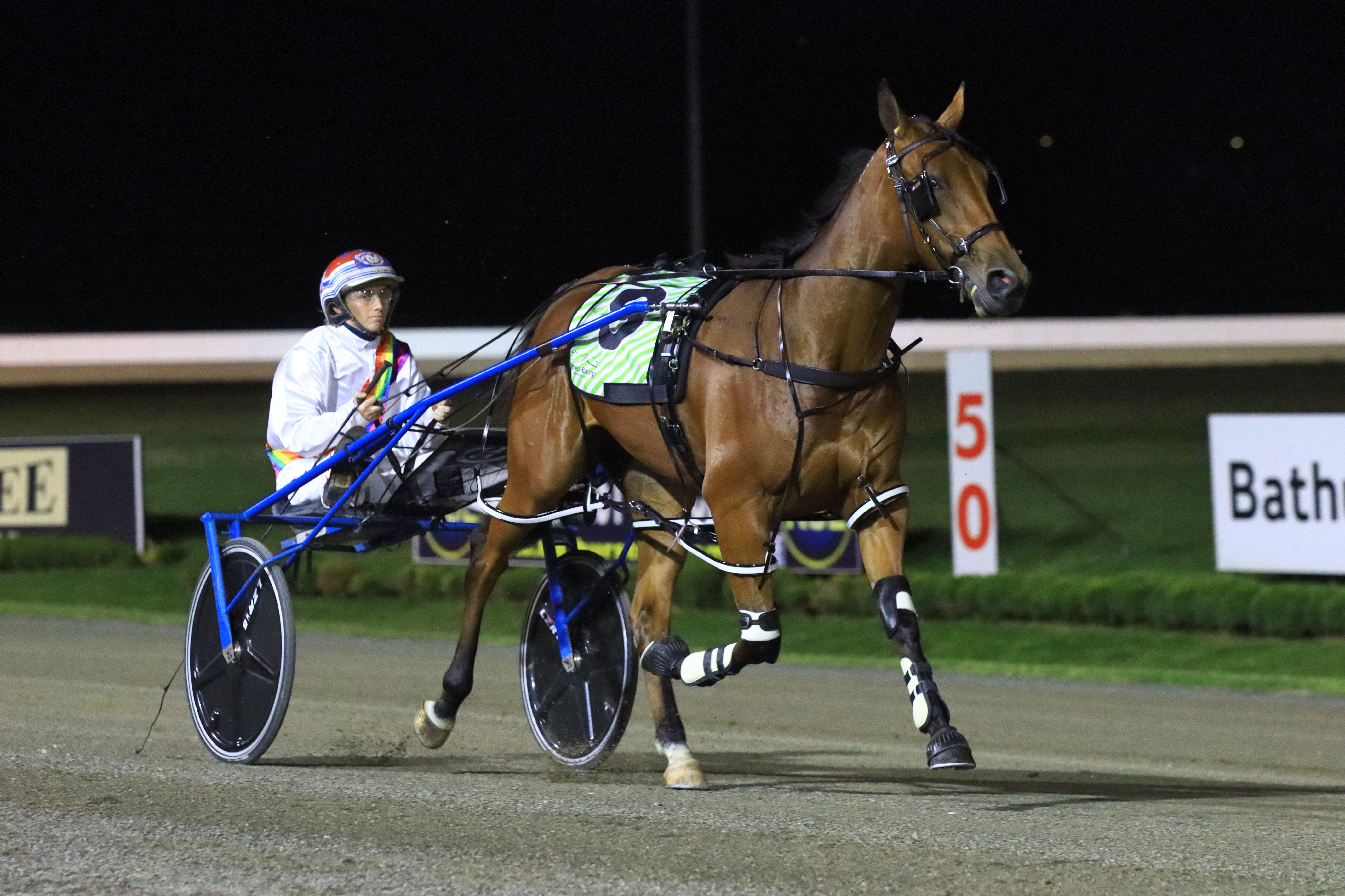 Here's how to back a winner at Menangle tonight