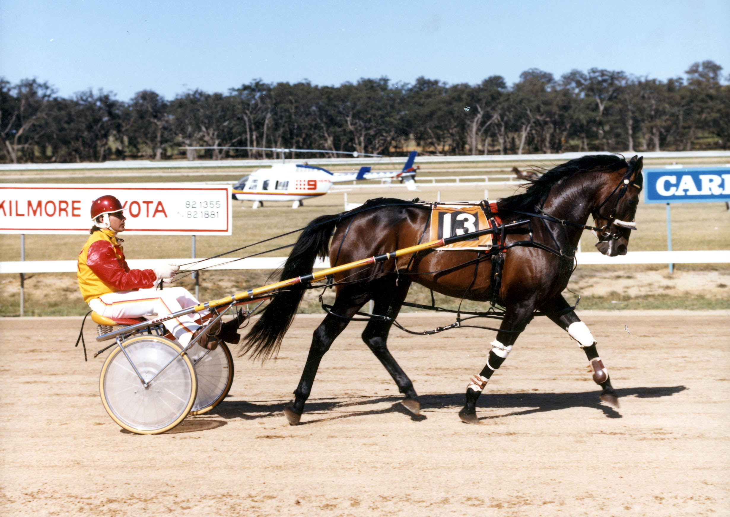 One champ to shine as another honoured