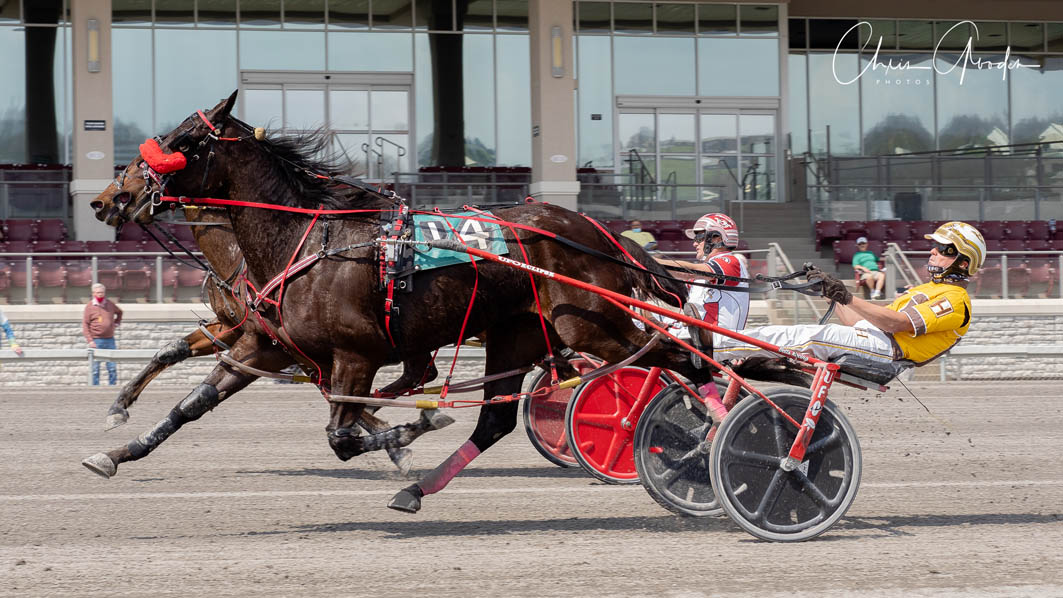 Filly registers hard-fought victory