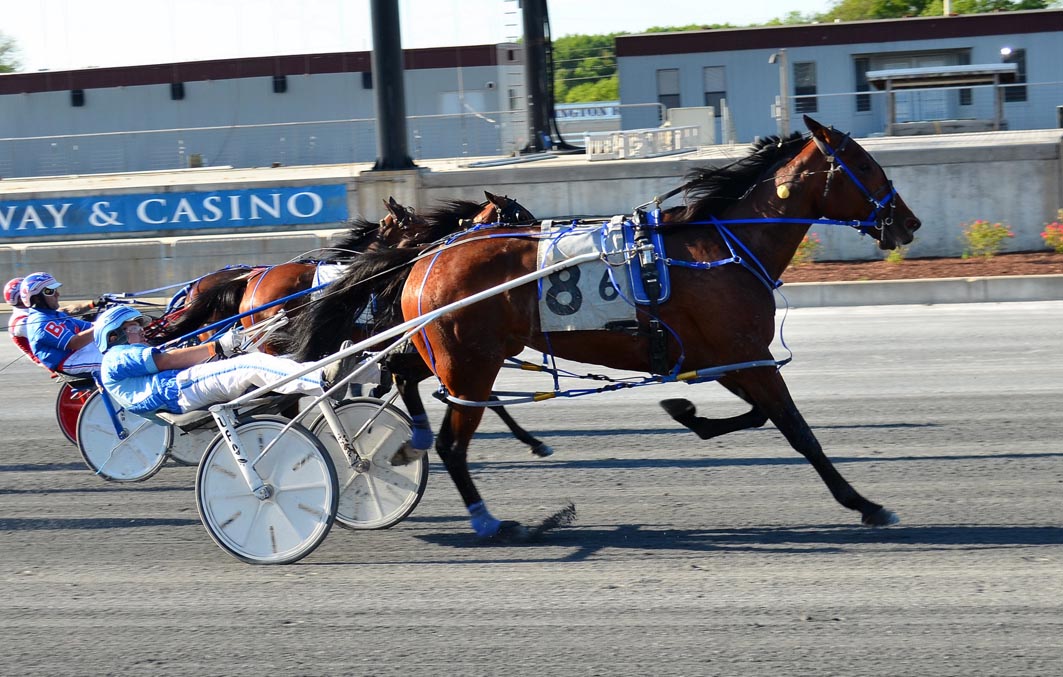 Sassa's Sister's shock success