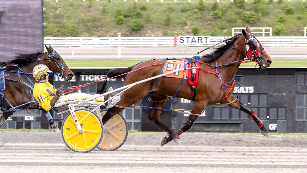 Winners' circle feels like home for Dorothy