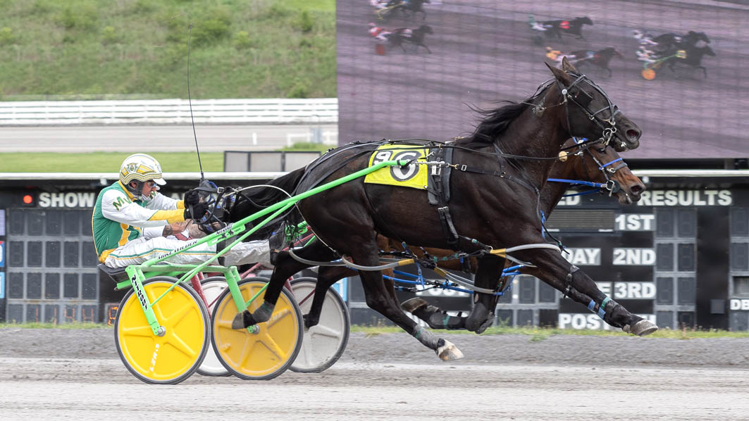 Aussie courageous in The Meadows feature