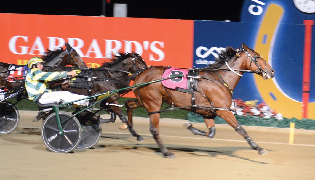 Finding you a winner at the Shirley Turnbull Memorial meeting at Bathurst