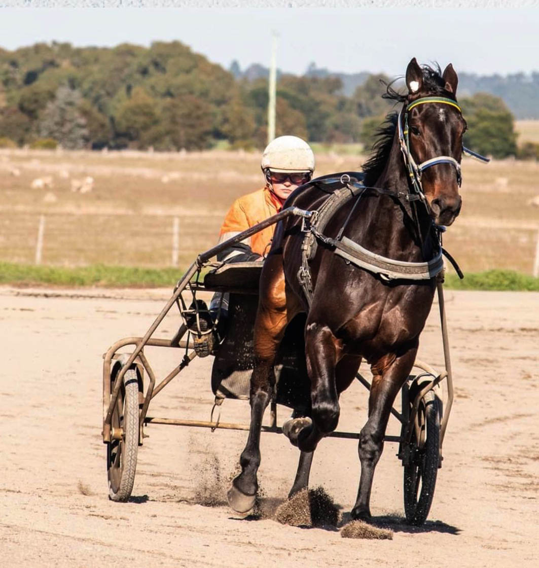 Aussie first for Finnish reinswoman