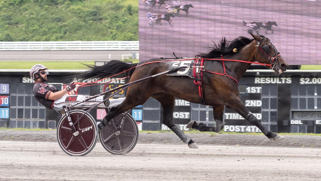 Career-best mark for handy mare