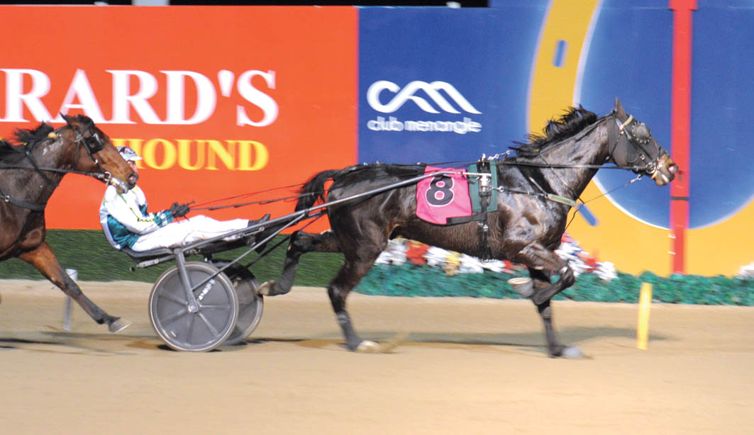 Caligula leads our Great Southern charge