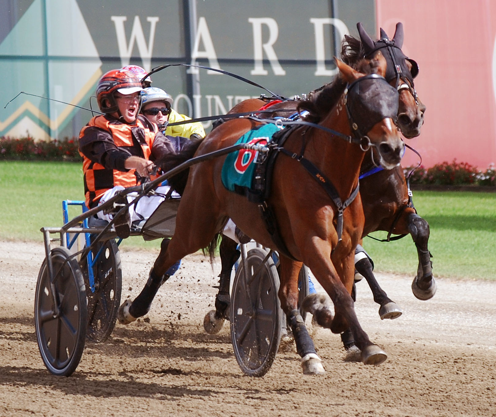 Former gun trainer just a happy passenger these days
