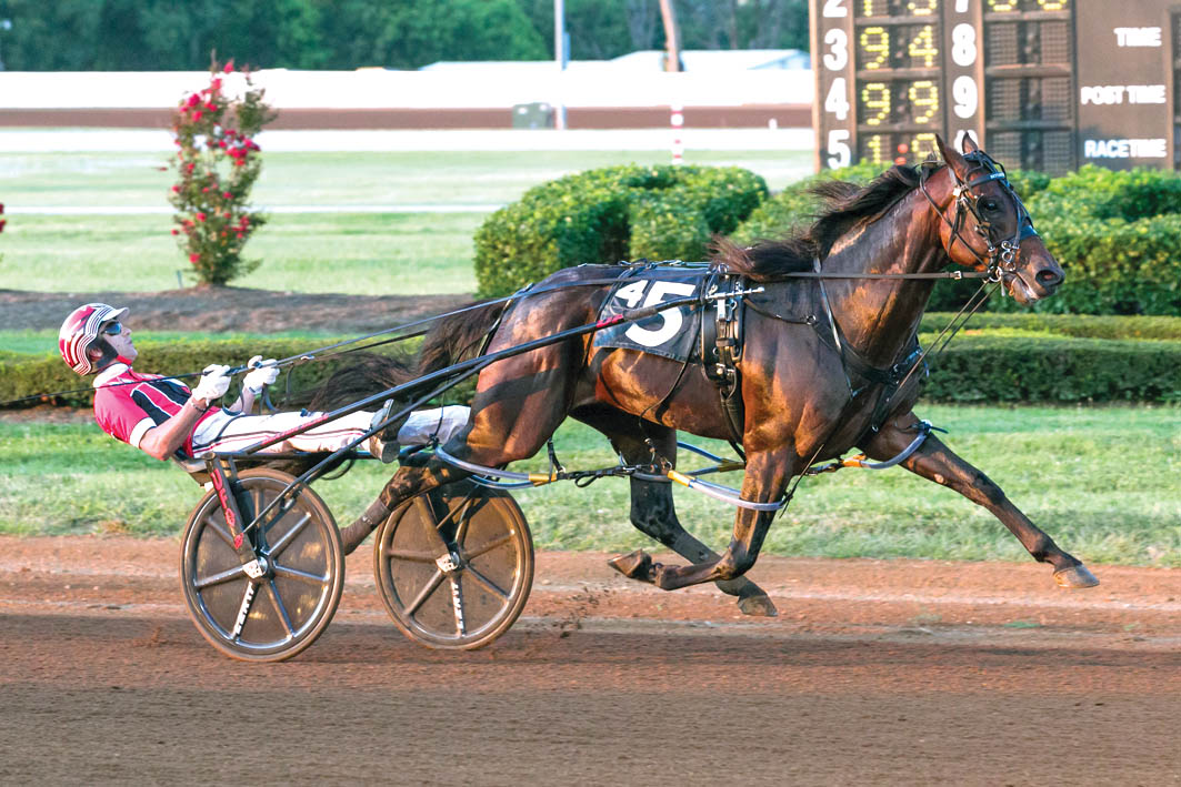 Perfect start to siring career