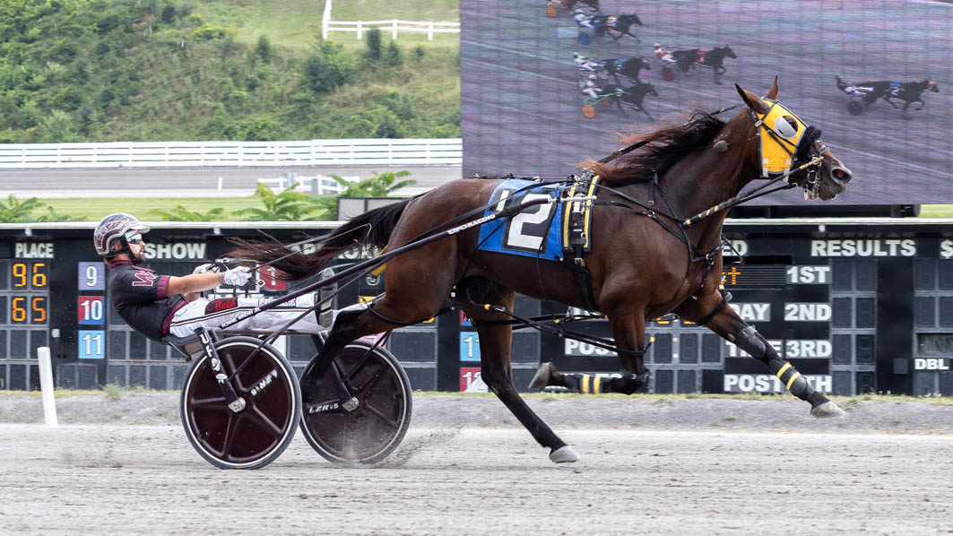 Mane too crisp in feature