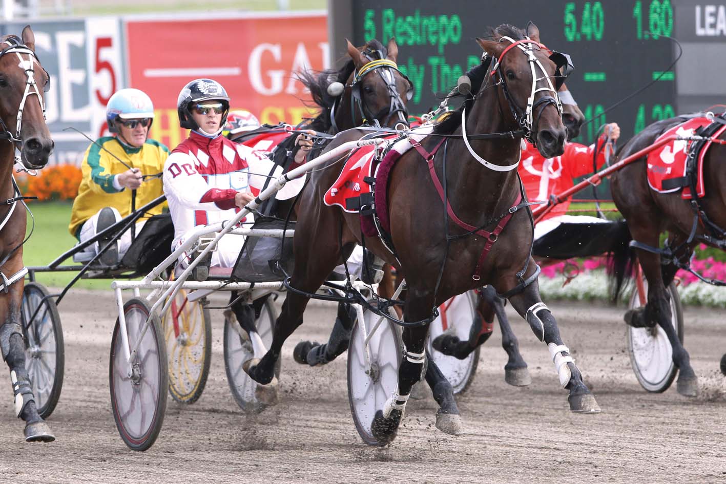 Nothing short of harness royalty