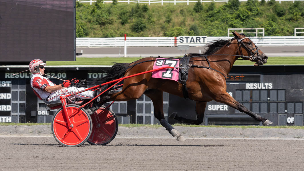 Classy trotter continues impressive year