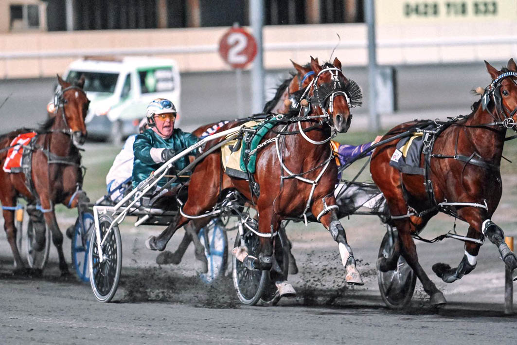 NZ superstar to stand stud at Murray Vets