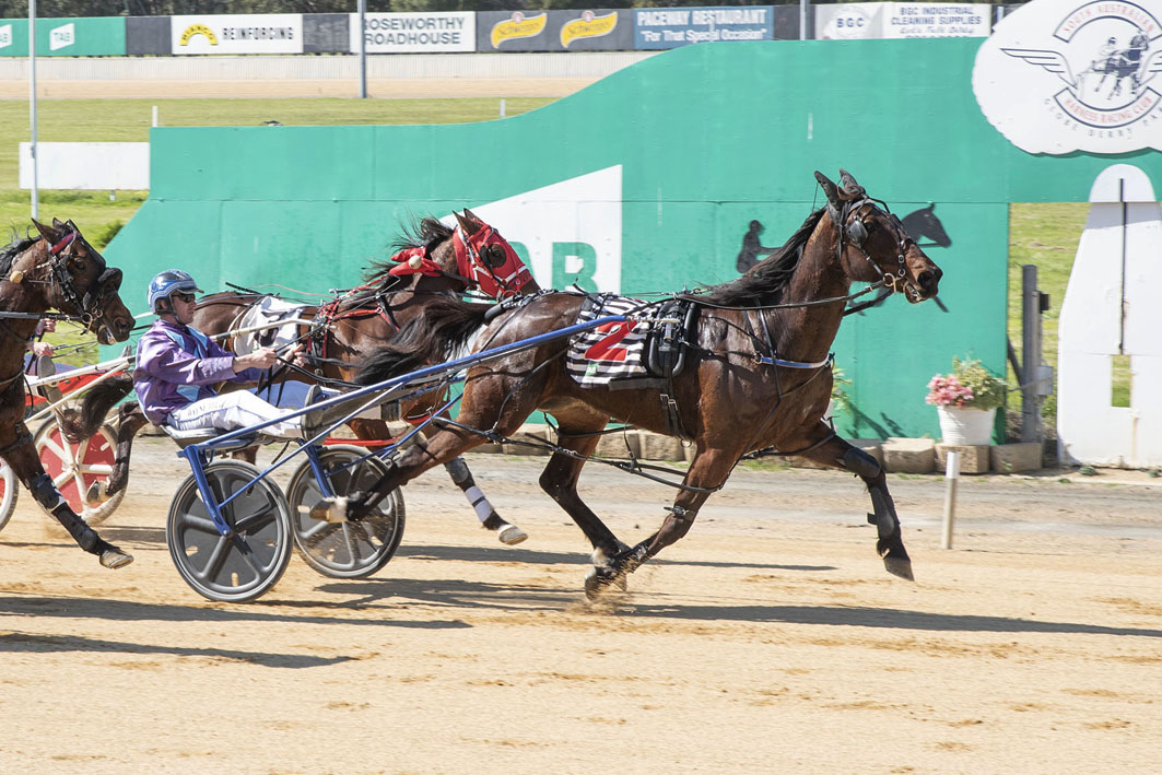 beancounter National Trotguide