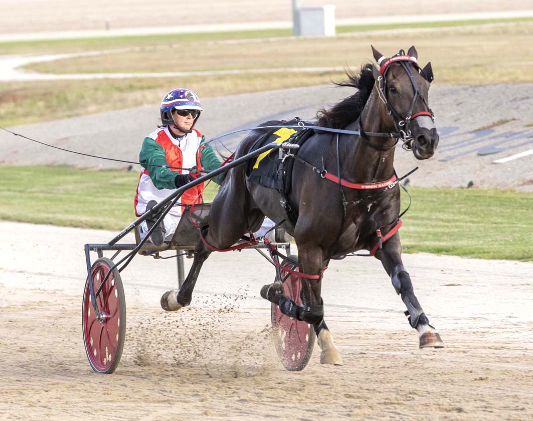 Aussie Group Two winner scores at massive odds in USA