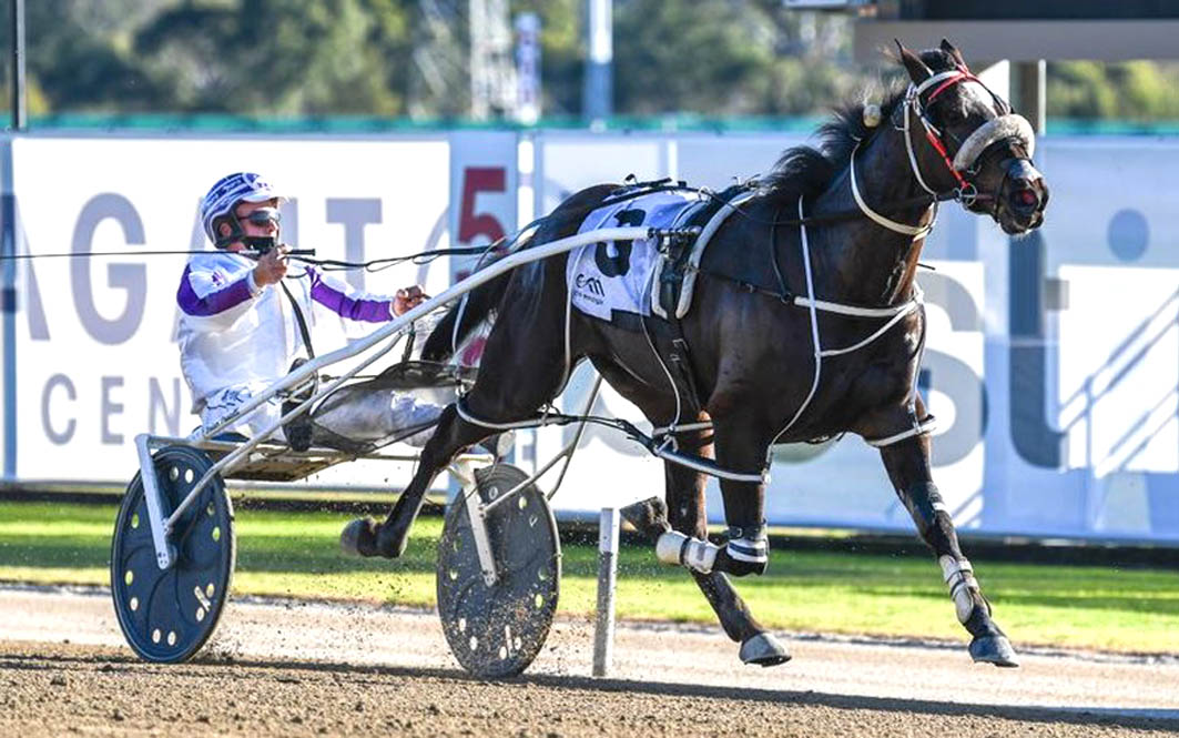 Late Mail for Club Menangle Tuesday