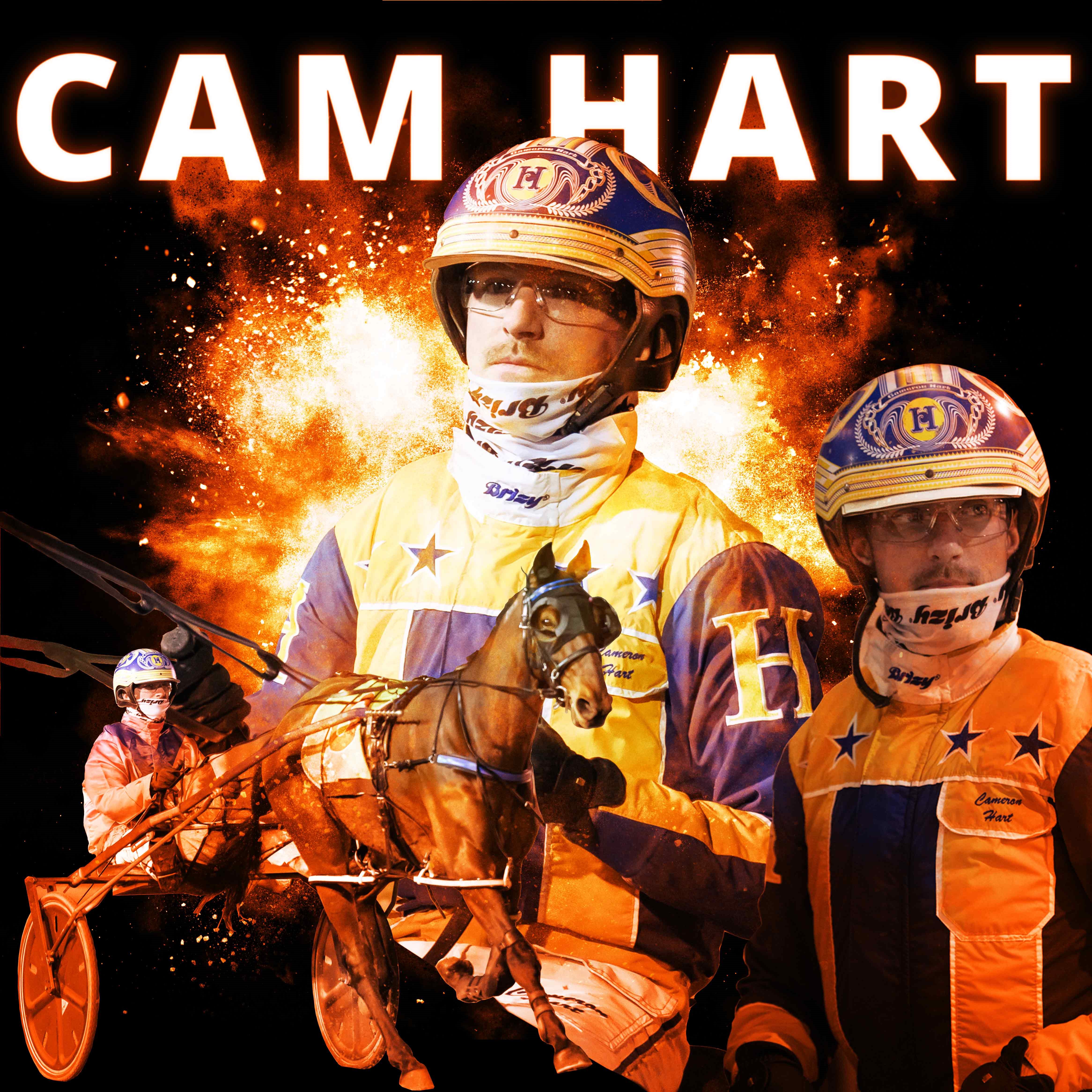 U.S. is beckoning star young reinsman