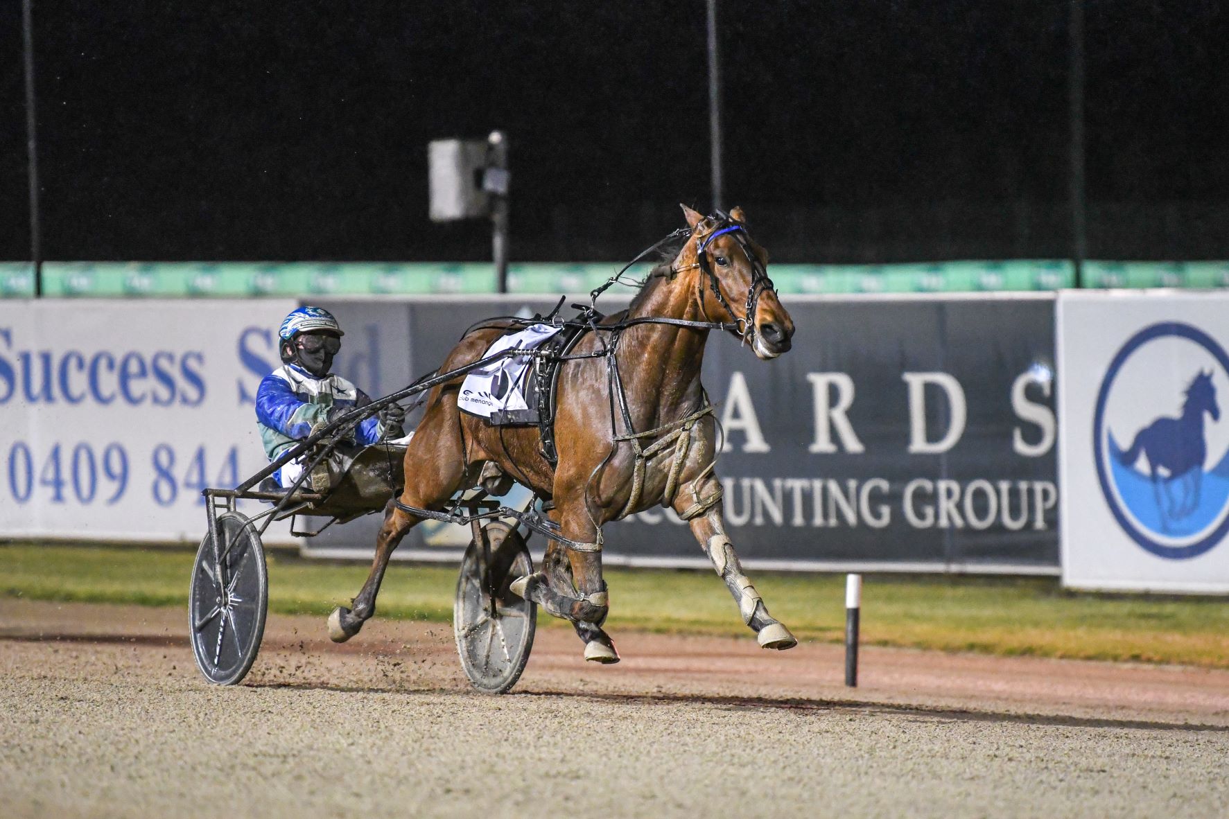 Mike Ko'cass with all the winners at Tabcorp Park Menangle Saturday night