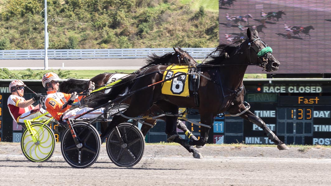 Sun shines brightly in Meadows feature
