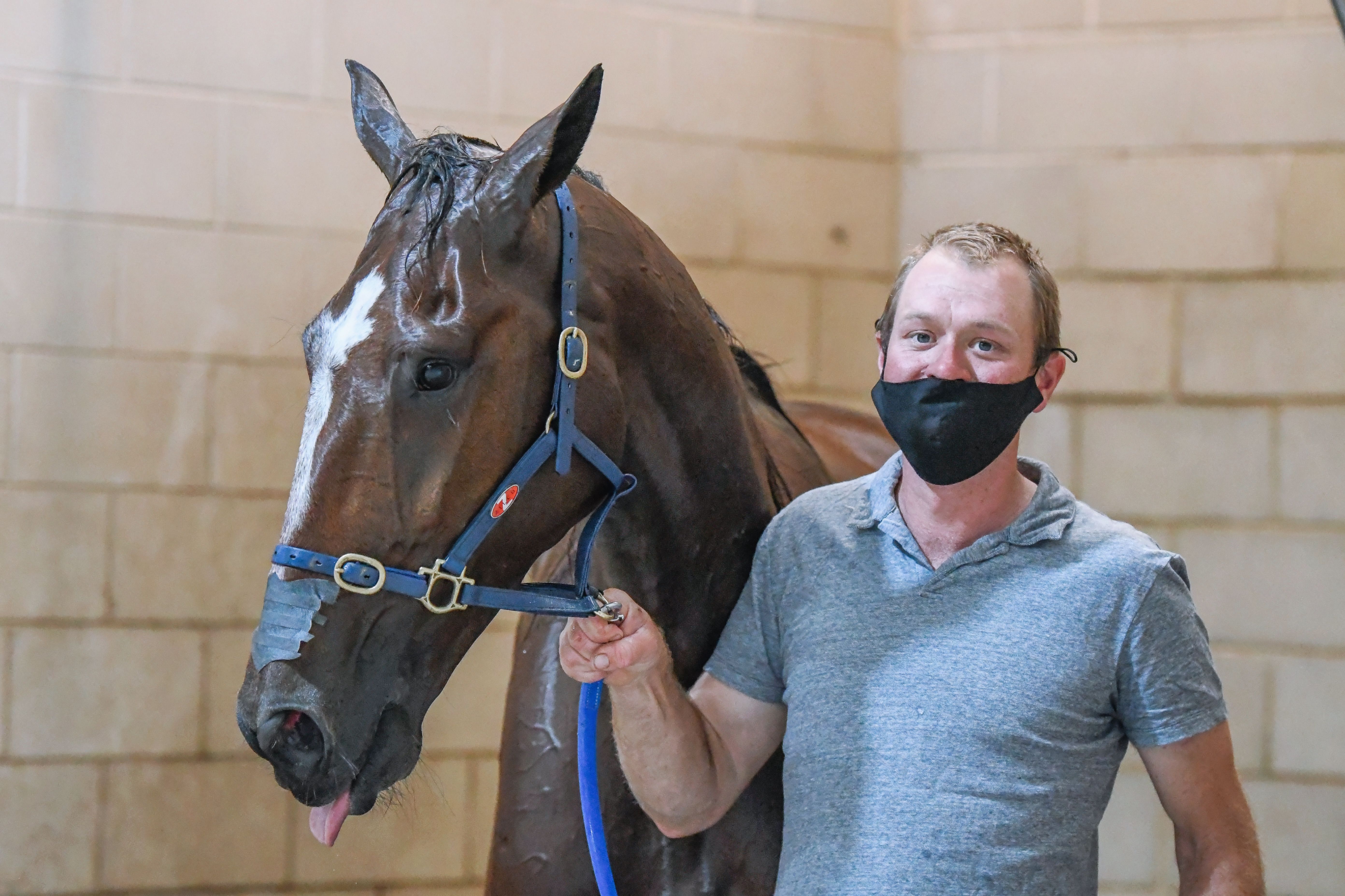 Breeders Challenge, Inter Dom . . . it's all systems go at Menangle