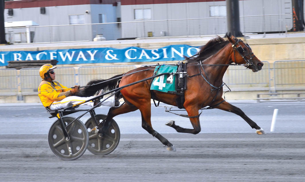 Consecutive wins for freshman trotter