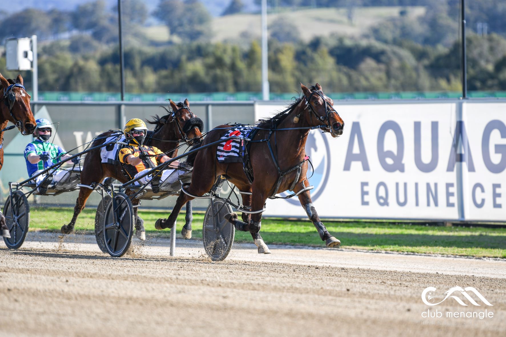 Here's the 'good things' for Menangle today