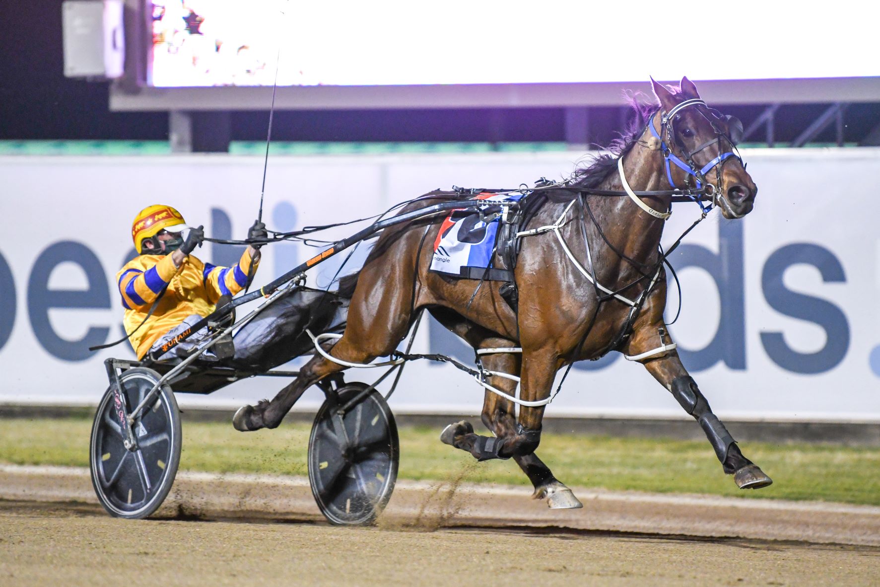 Ready to open winning account