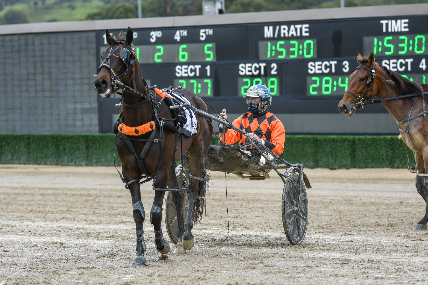 Ace trainer due for a change of luck